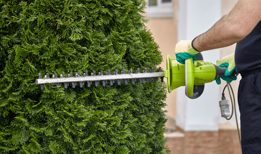 BUSH TRIMMING